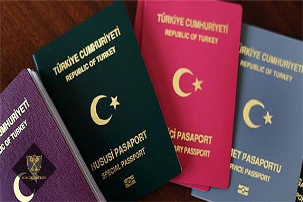 الجنسية التركية