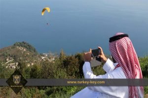 الاستثمار السعودي